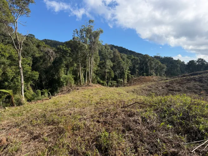 ANITÁPOLIS/SC - Terreno para sítio com riacho e açude 2 hectares