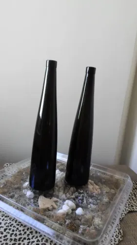 PAR DE VASOS DE VIDRO GARRAFA ALTA- GARGALO LONGO ( flores, decoração)