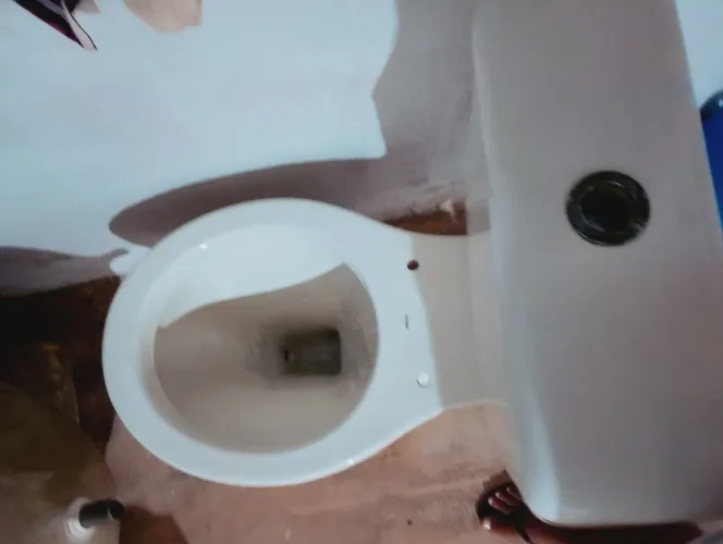 Vende um vaso sanitário com caixa acoplada