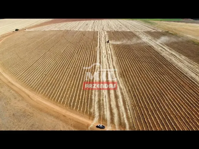 Fazenda 88 Alqueires (427 Hectares) Cristalina - GO