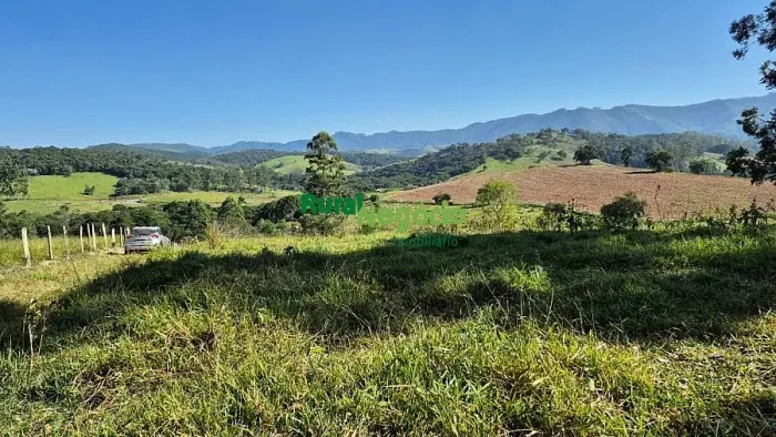 SÍTIO FORMADO PRÓXIMO DO ASFALTO À VENDA EM LAGOINHA-SP