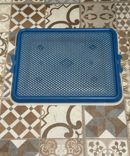 sanitário canino para pets azul