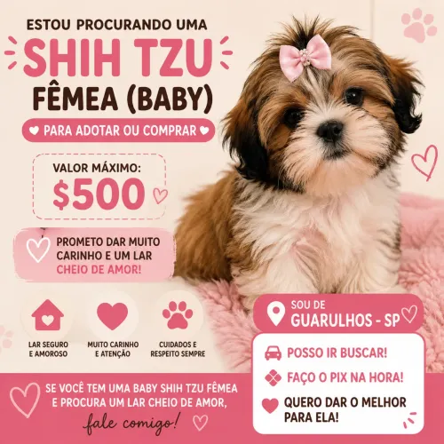PROCURO CACHORRA DA RAÇA SHIH TZU (FÊMEA/BABY) PARA ADOTAR OU COMPRAR PAGO (500)