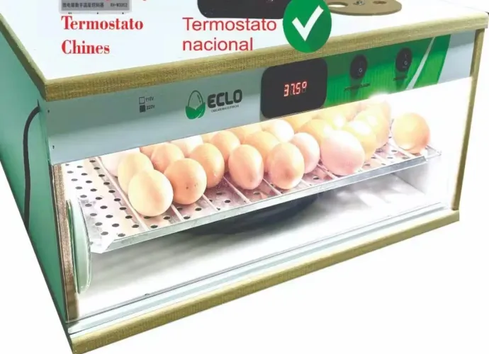 Chocadeira de ovos elétrica