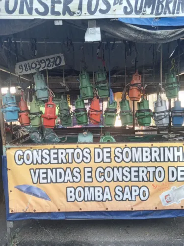 Bomba sapo