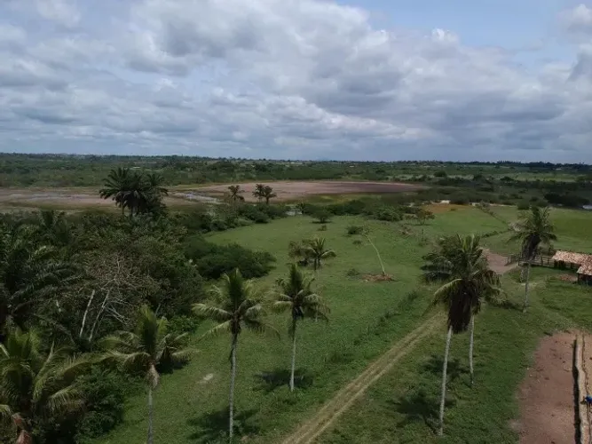 Fazenda 120 Tarefas 