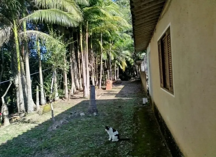 Vendendo sítio