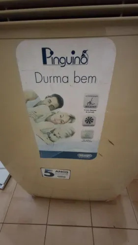 Delonghi Pinguino PAC C105 - 110V