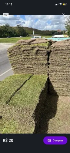 Plantas e gramas de qualidade.
