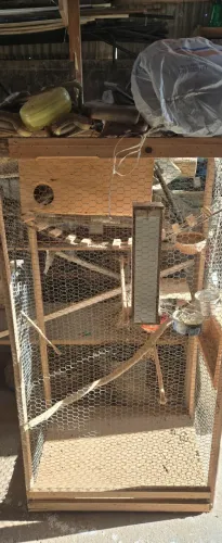 Vendo pequeno viveiro para pássaros