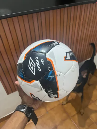 Bola umbro
