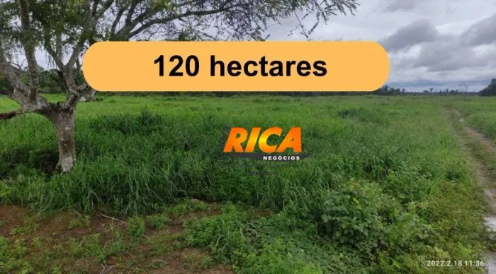 Fazenda à venda, com 120 hectares na Área Rural de Candeias do Jamari/RO