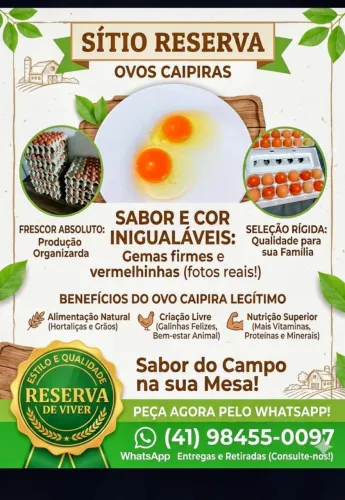 Ovos caipiras direto do produtor.