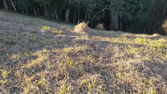 Terreno para venda no Bairro Rio Preto, Santo Antônio do Pinhal - Sp