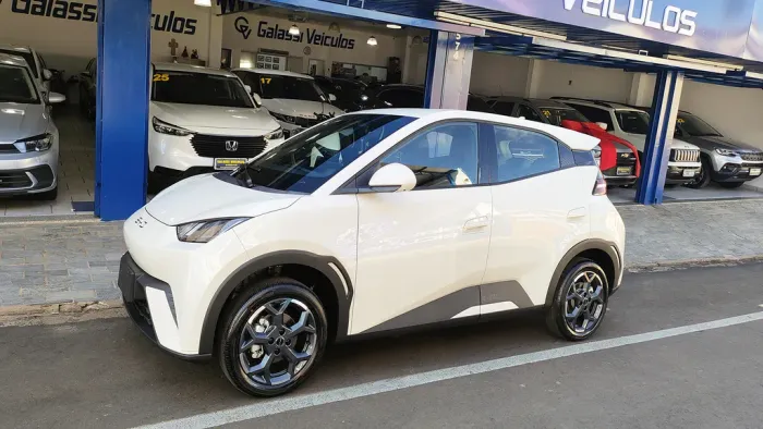 BYD Dolphin Mini (Elétrico) 2027