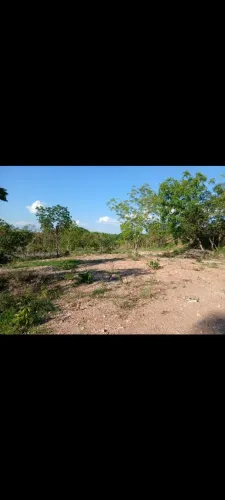 Terreno prox da Avenida Antártica 