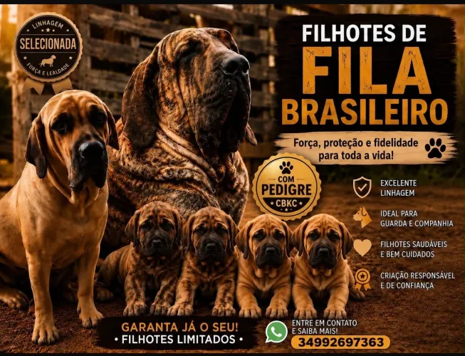 Fila Brasileiro