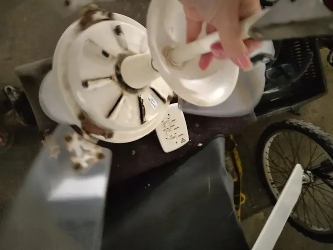 Ventilador de teto