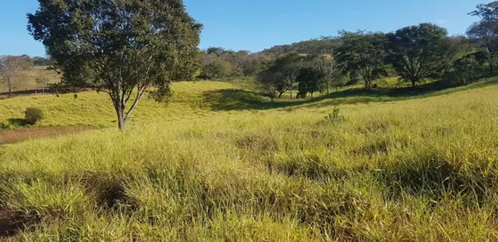 Qualidade em imovel Rural...Otima Logistica ,Recria E Engorda..Area 25 Alqueires...