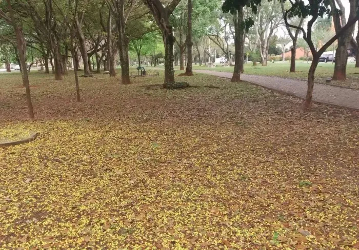 Terreno Condomínio Débora Cristina.