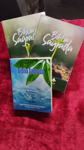 Lote de Três Bíblias Sagrada R$:50 Reais