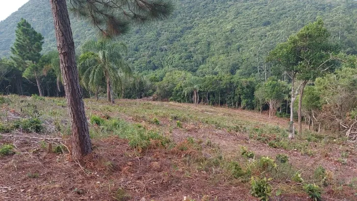 Chácara em Ratones com 5.000 m², nascente e vista para a praia