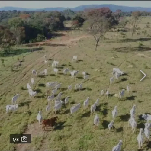 A&M IMOVEIS VENDE FAZENDA COM 12.8 HECTARES EM AGUA FRIA GO