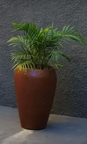 Vaso de planta