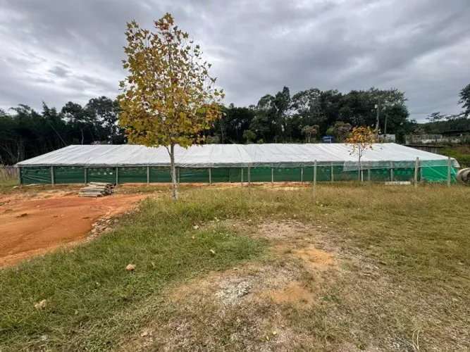 Estufa industrial 10x30 (300m²)