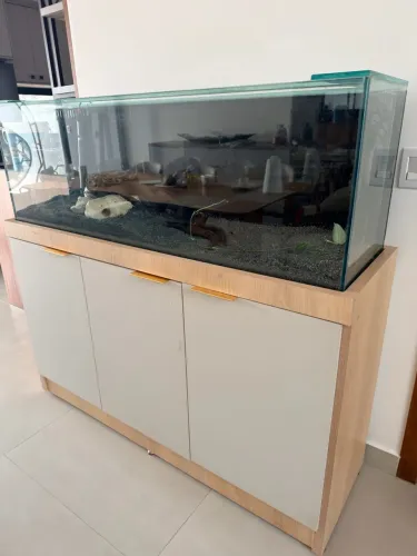 Aquário 280 litros completo 