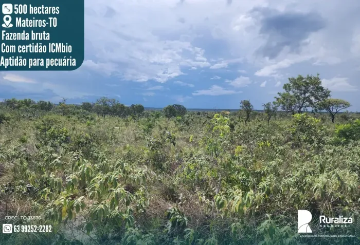 FAZENDA EM DOIS IRMÃOS | ATUALMENTE NA PECUÁRIA | DUPLA APTIDÃO