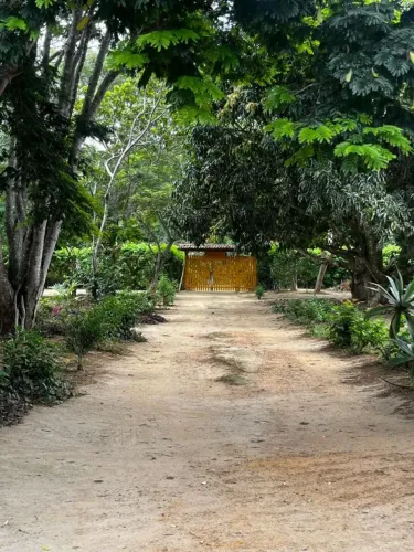 Tem uma chácara assim que a gente imagina, mas raramente encontra.