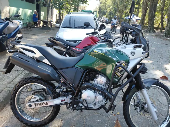 Yamaha XTZ 250 Tenere/tenere Blueflex 2019