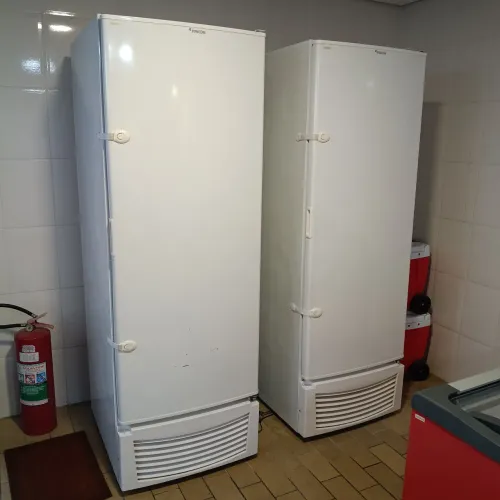 Freezer Vertical Fricon 569 Litros 220V