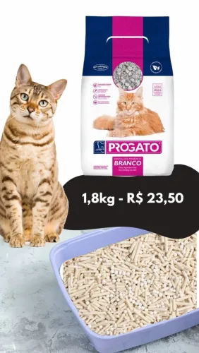 Areias para gatos econômicas