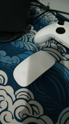 Magic Mouse - 1 mês de uso