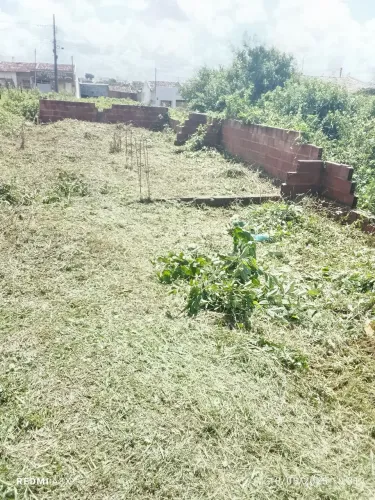 Vendo terreno no guajara 6×22 valor 15 mil