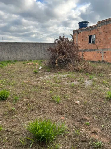Lote para alugar