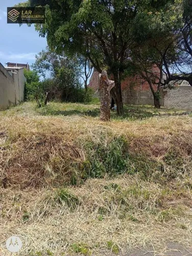 Terreno à venda, 250 m² por R$ 55.000,00 - Jardim Dona Marta (Rubião Junior) - Botucatu/SP