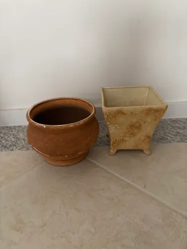 2 vasos plantas