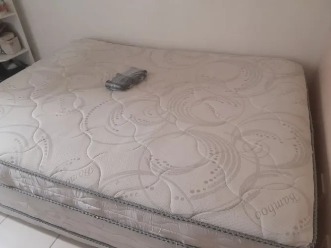 Cama