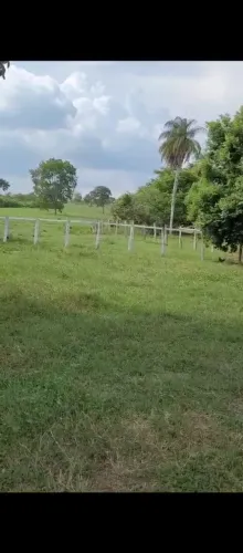 Fazenda no Maranhão