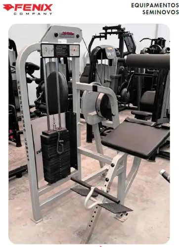 Lombar Máquina Life Fitness