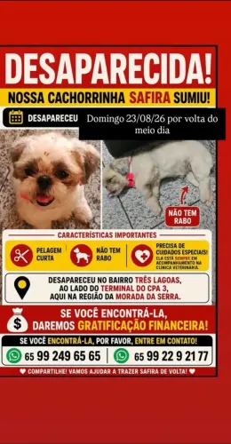 Ela desapareceu ao lado do terminal do cpa 3