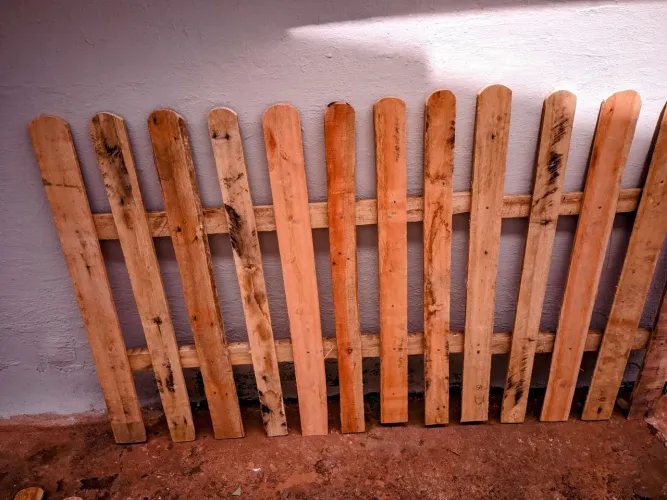 Cercas de eucalipto