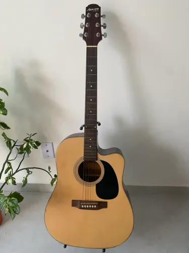 Violão Ashland by Crafter