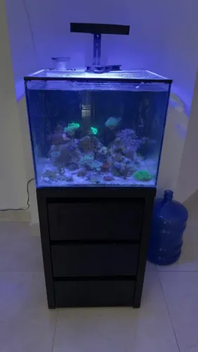Aquario Marinho 100 Litros