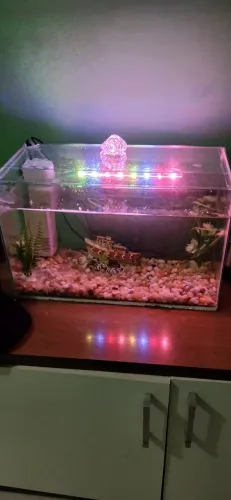 Vendo aquário