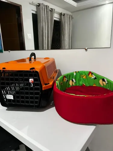 Caixa transportadora de gato + cama de gato (novas)