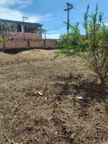 Terreno mediano 20x20 na beira da pista , valor 80.000,00 mil , aceito proposta.